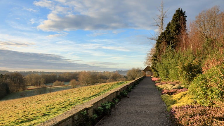 Winter walk lined by heathers